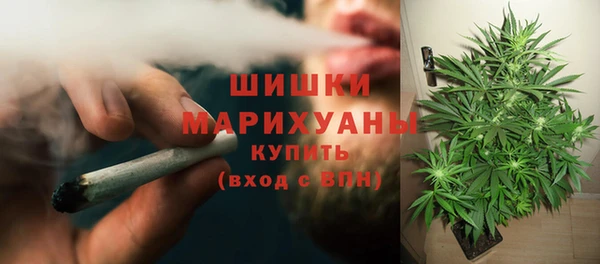 ГАЛЛЮЦИНОГЕННЫЕ ГРИБЫ Балабаново