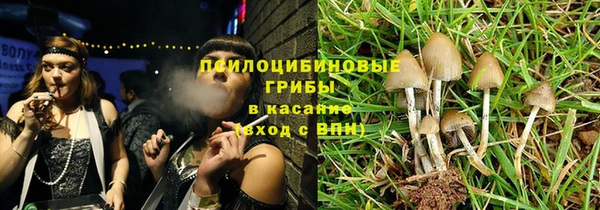 ГАЛЛЮЦИНОГЕННЫЕ ГРИБЫ Балабаново