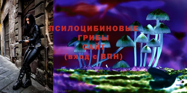 каннабис Баксан