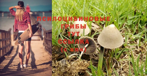 стафф Балахна