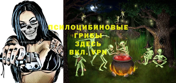 ГАЛЛЮЦИНОГЕННЫЕ ГРИБЫ Балабаново