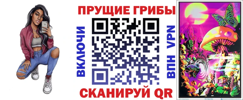 сколько стоит  Озёры  Псилоцибиновые грибы GOLDEN TEACHER 